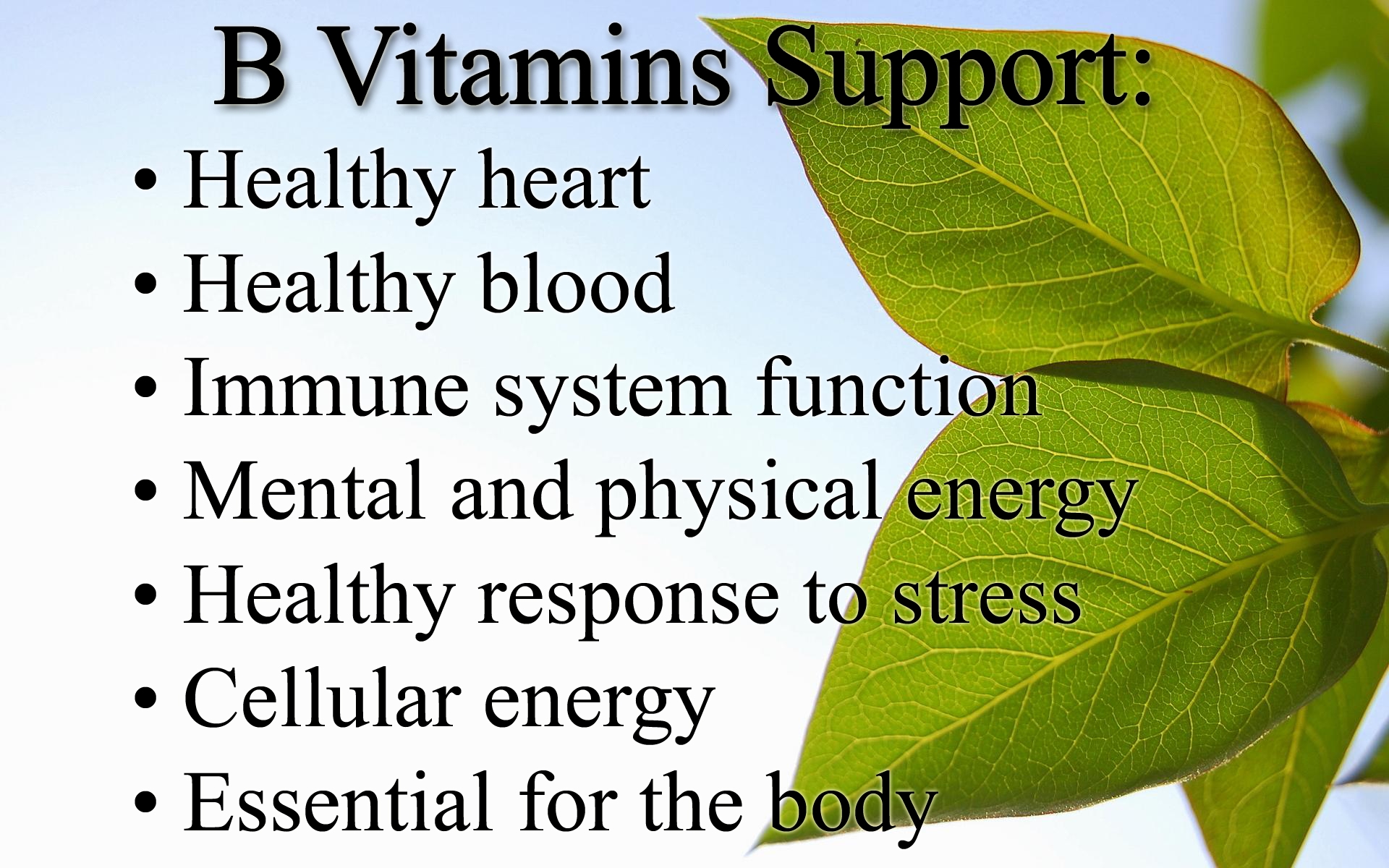 b-vitamins