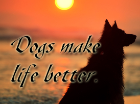 dogs-make-life-better-squar
