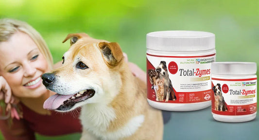 Compare Pet Enzymes: Why Total-Zymes® is the Best Digestive Aid for Dogs & Cats