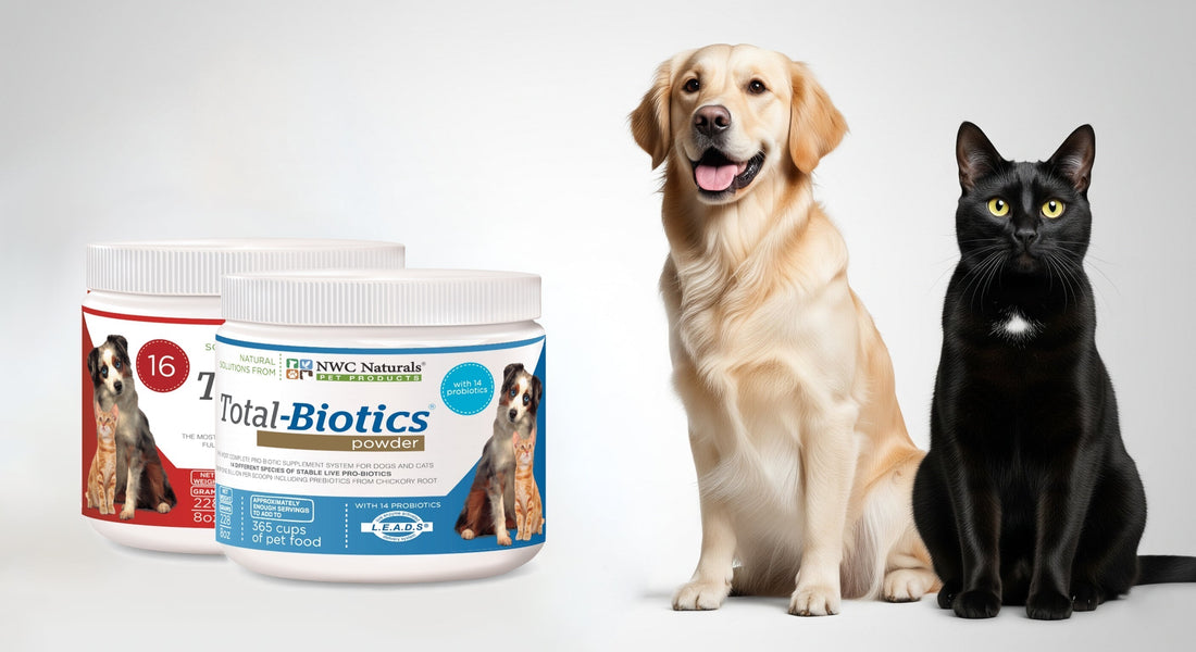 What Are Human Grade Pet Supplements? The Gold Standard Explained