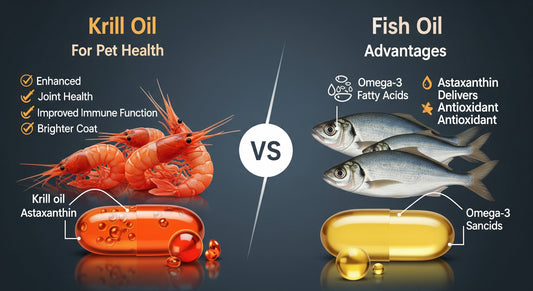 Krill Oil vs. Fish Oil: Which Omega-3 is Best for Your Pet?