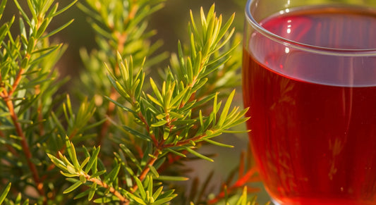 Rooibos Tea: Research into Antioxidant and Antimutagenic Properties