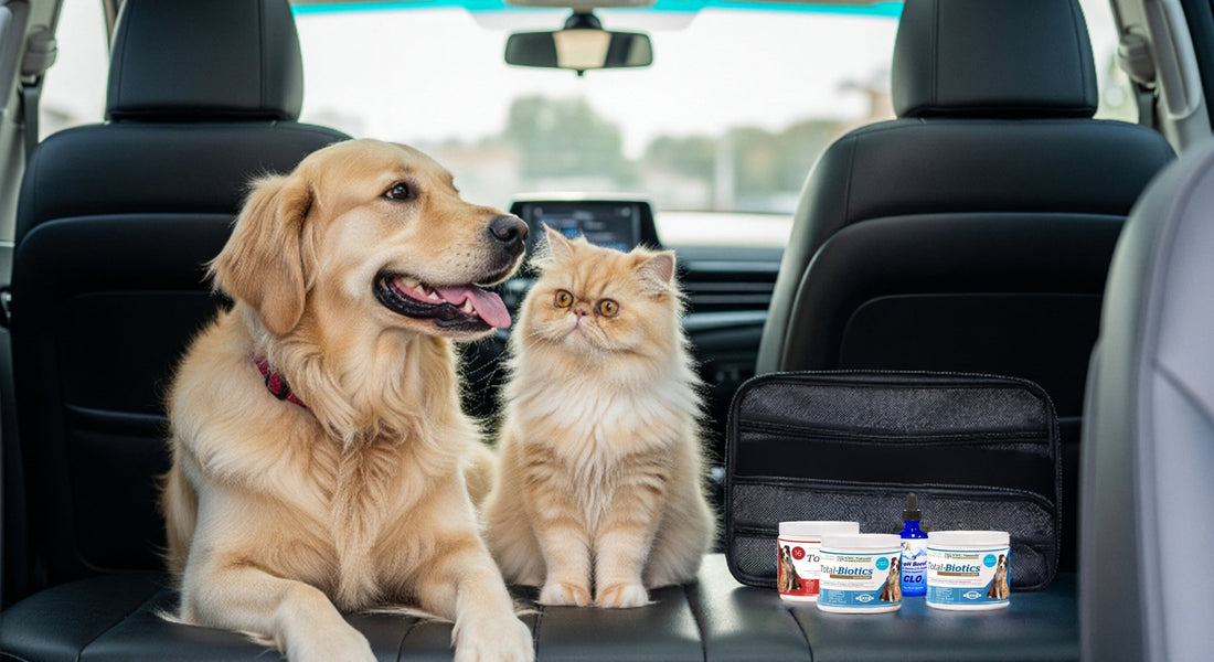 Tips for Traveling with Your Pet: Stay Healthy with Total-Biotics® and Oxy-pH Boost™