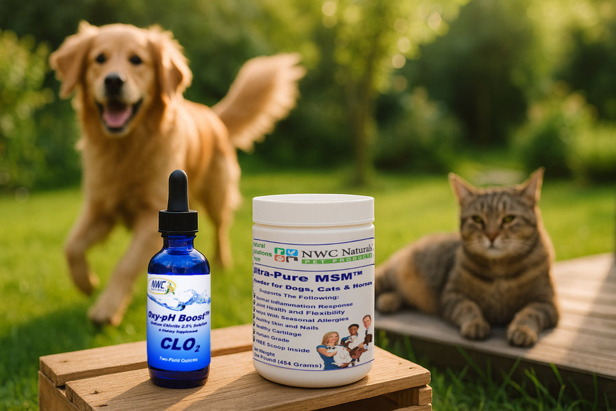 MSM For Pets