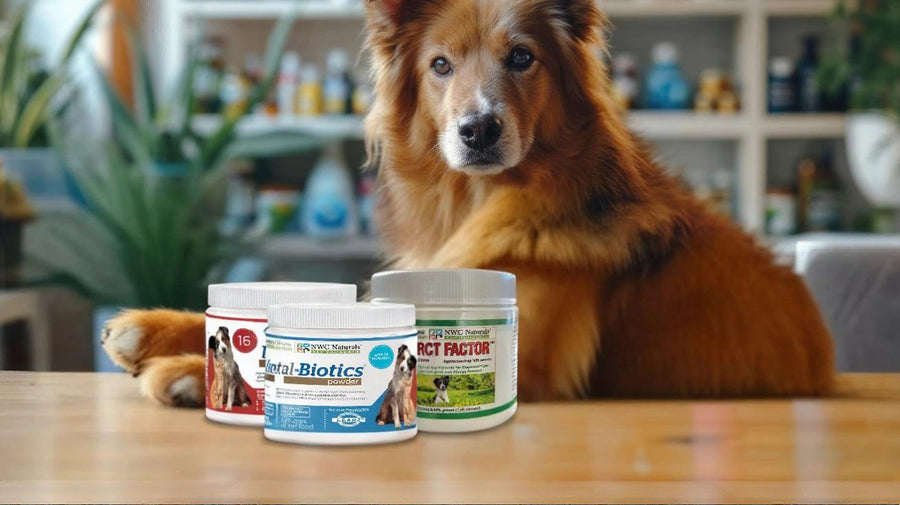 Pet Products