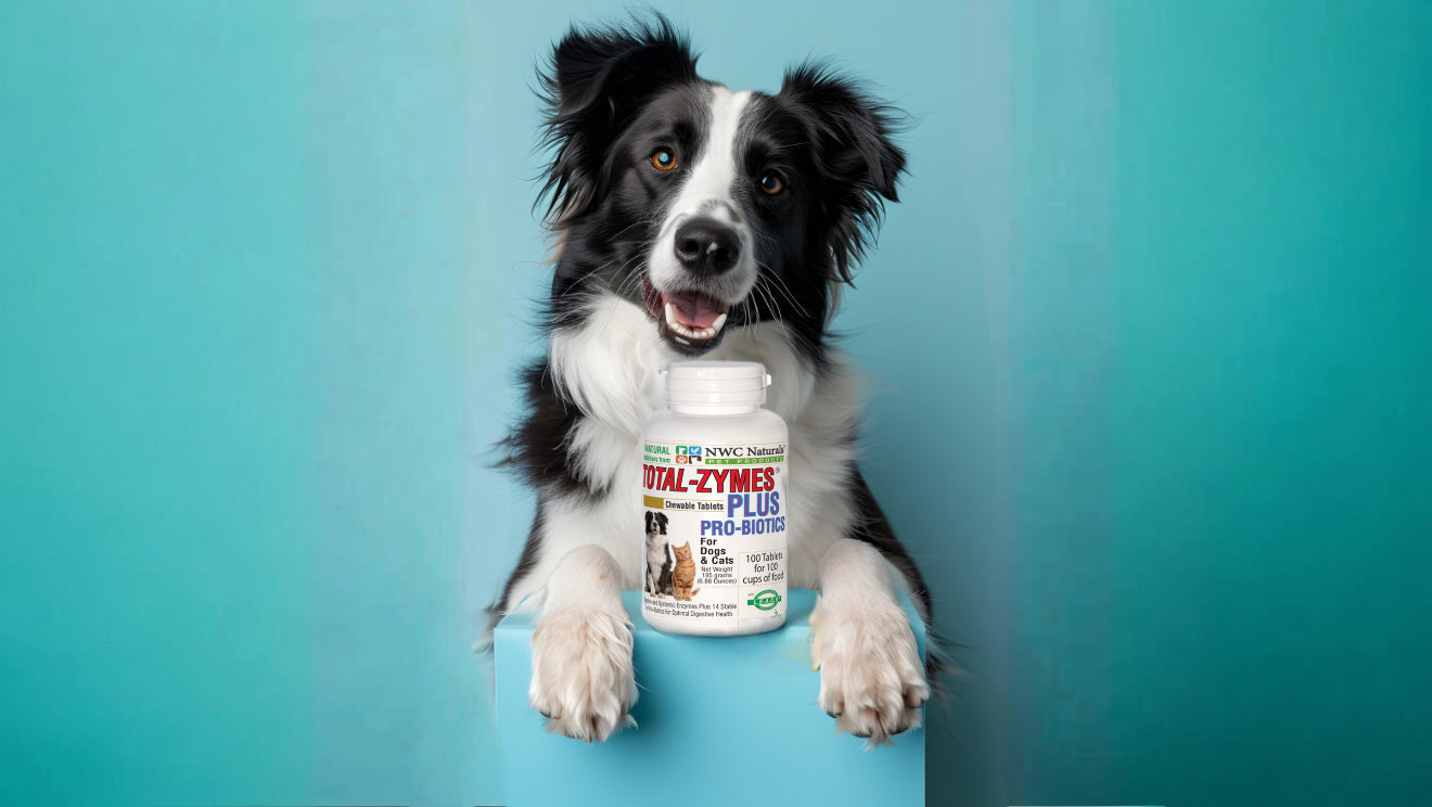 Pet Tablets