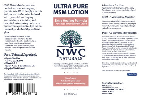 Extra Healing MSM Lotion - 8 oz  Slight Tea Tree Scent — Supplement Facts