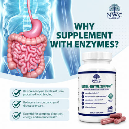 Ultra-Enzyme Support® 200 4-Count Discount Pack-But 3 get 1 Free!