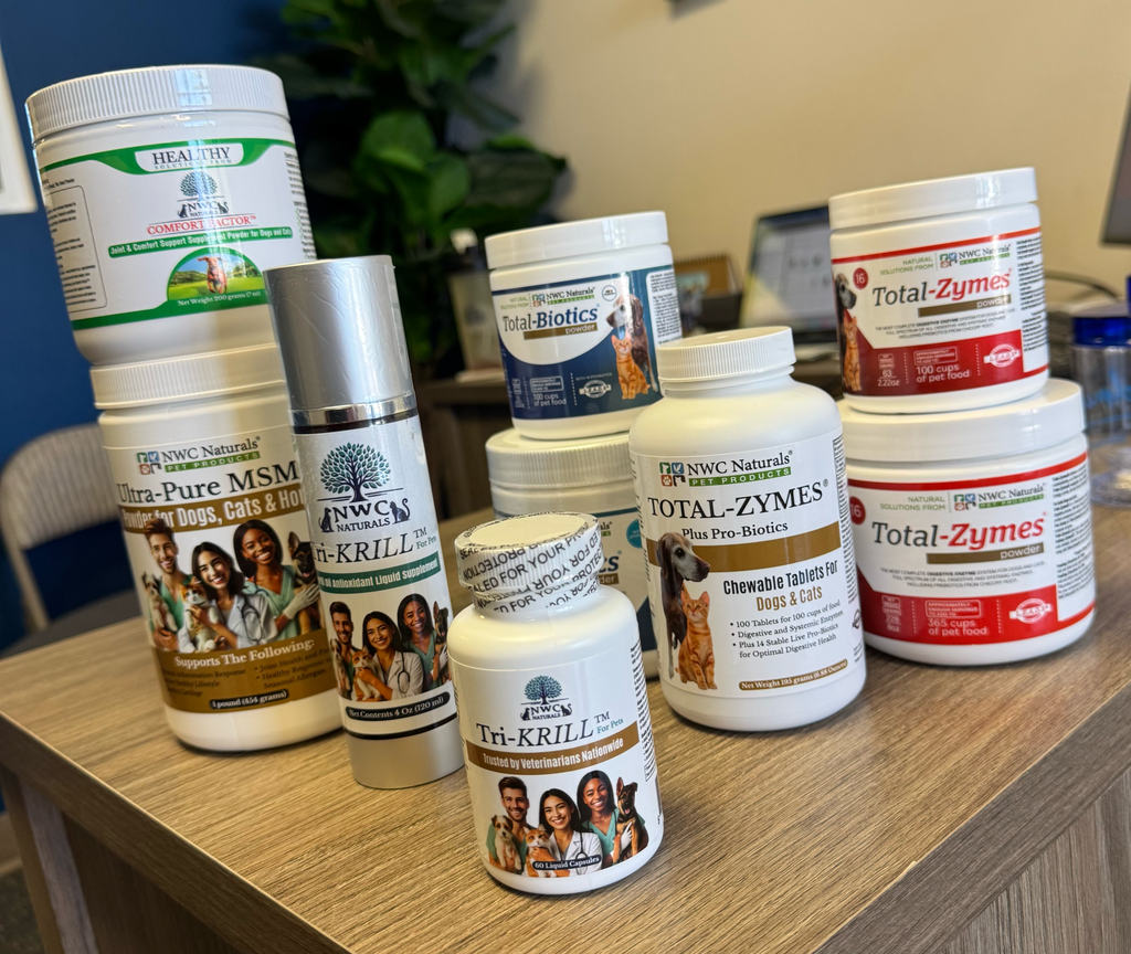 Digestive Support