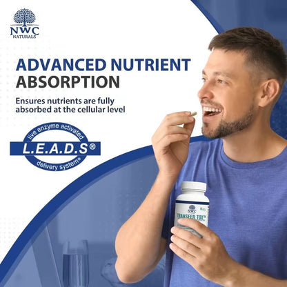 Transfer-Tox™ Liver and Kidney Support