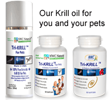 krill oil