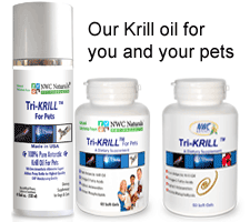 best krill oil krill oil