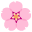 Cherry Blossom icon