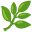Herb icon