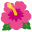 Hibiscus icon