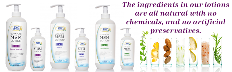 msm lotion