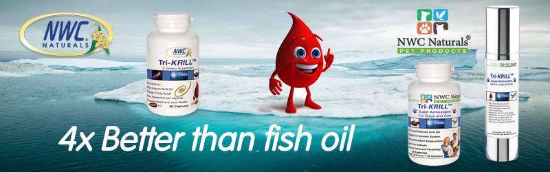 krill oil for dogs