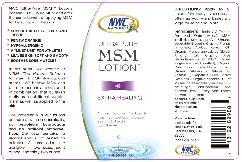 8 Ounce MSM Lotion